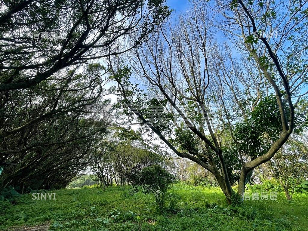 三芝霞崗桃花園－直接眺海房屋室內格局與周邊環境