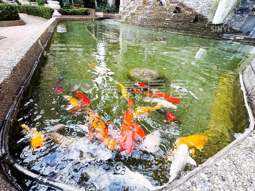 鼎山高樓美景裝潢三房平車房屋室內格局與周邊環境