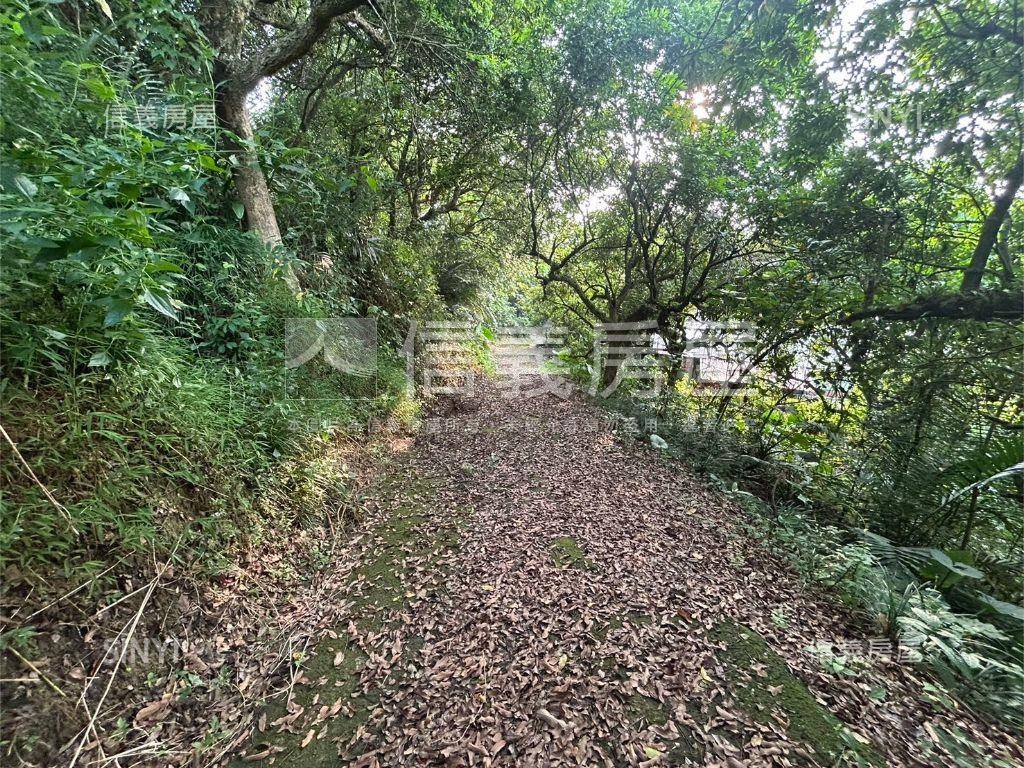 東山山坡農牧用地房屋室內格局與周邊環境