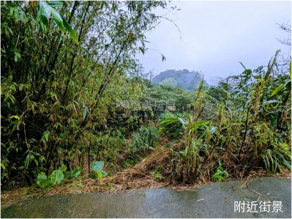 ★萬里農牧用土地好運用★房屋室內格局與周邊環境