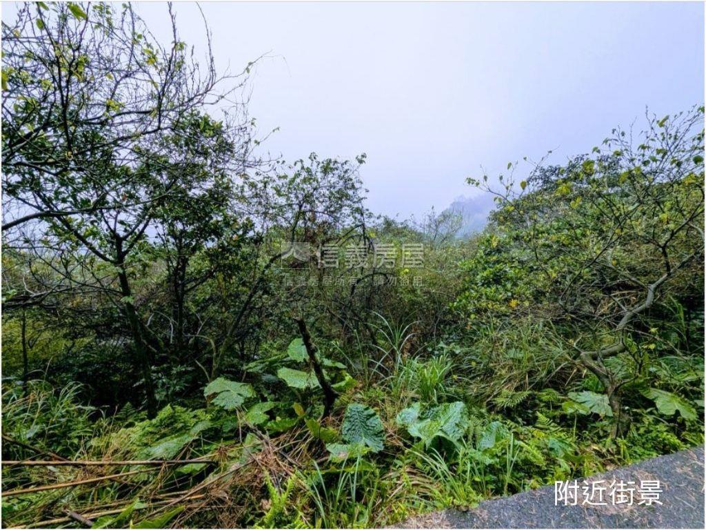 ★萬里農牧用土地好運用★房屋室內格局與周邊環境