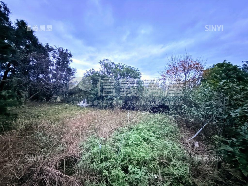 三芝漂亮土地房屋室內格局與周邊環境