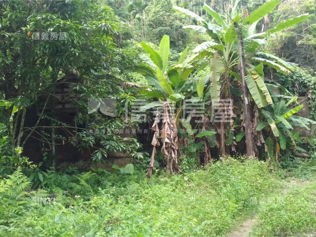 中埔灣潭子土地房屋室內格局與周邊環境