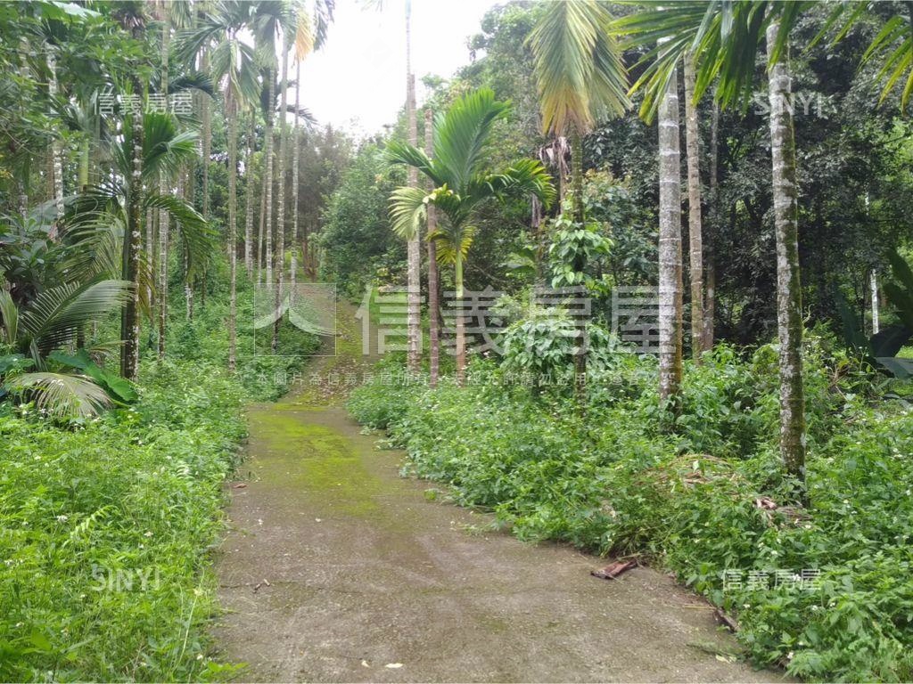 中埔灣潭子土地房屋室內格局與周邊環境