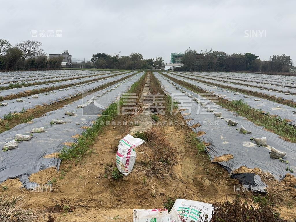 新屋大坡土地房屋室內格局與周邊環境