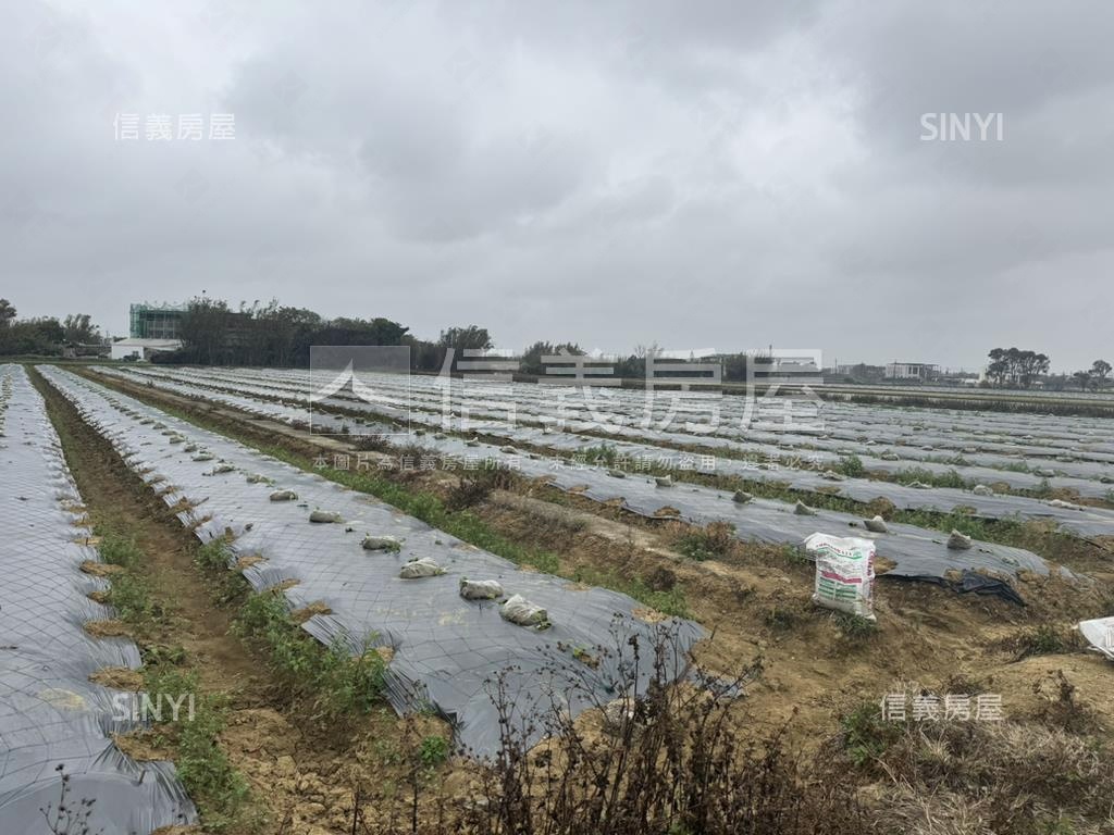 新屋大坡土地房屋室內格局與周邊環境
