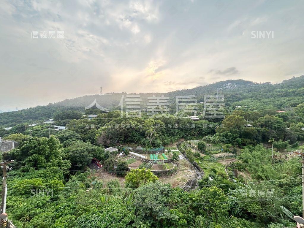 遠眺山景大空間房屋室內格局與周邊環境