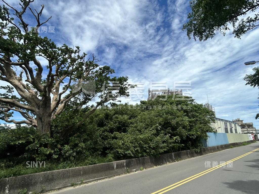 一百多坪樹下段建地房屋室內格局與周邊環境