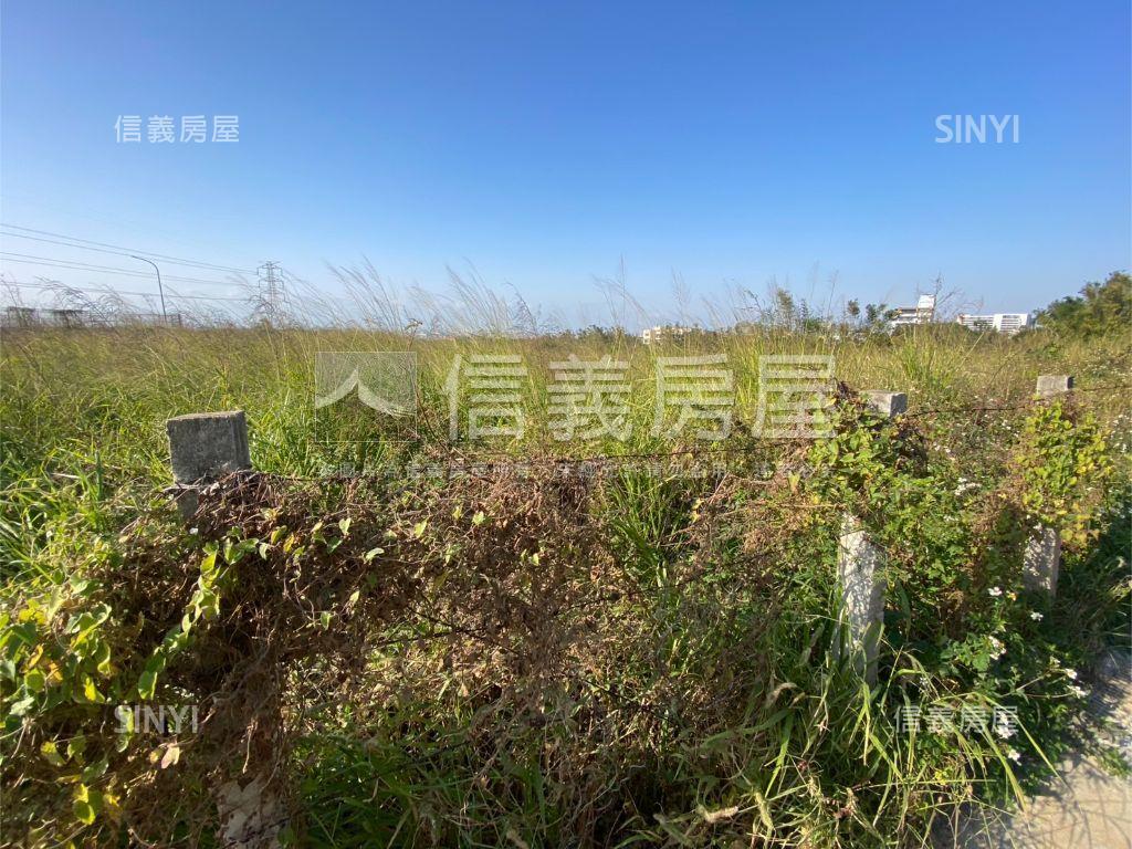 龍井龍新段土地房屋室內格局與周邊環境