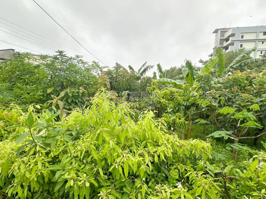 宜蘭礁溪臨路開心農場房屋室內格局與周邊環境