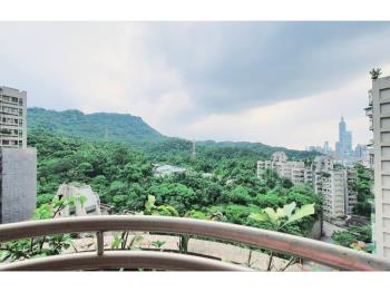 南港花園高樓１０１山景居