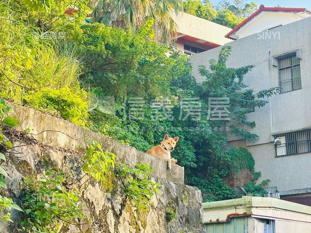 【晨丘虹園】夕彩山景小宅房屋室內格局與周邊環境