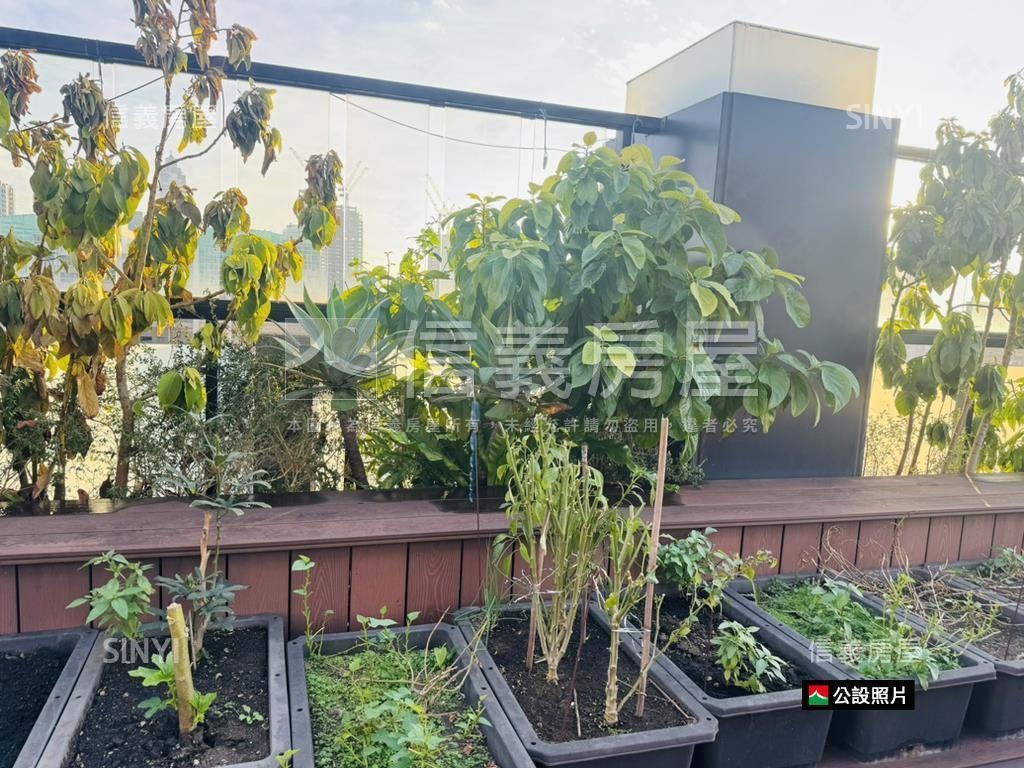 時尚之星後棟美居房屋室內格局與周邊環境