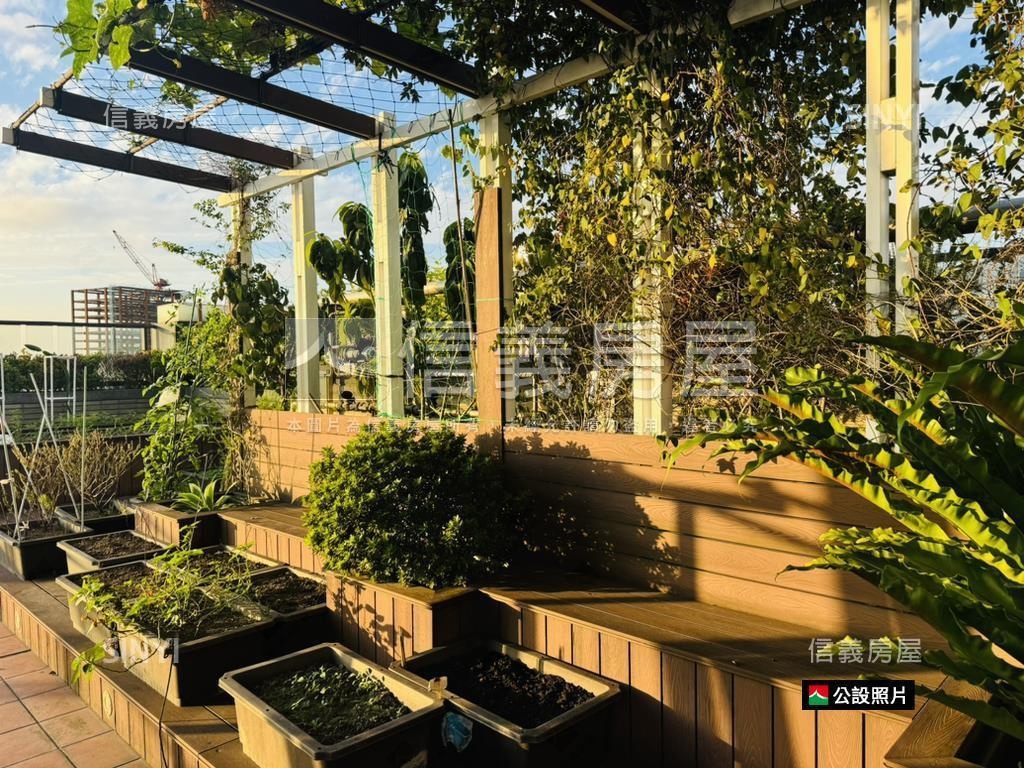 時尚之星後棟美居房屋室內格局與周邊環境