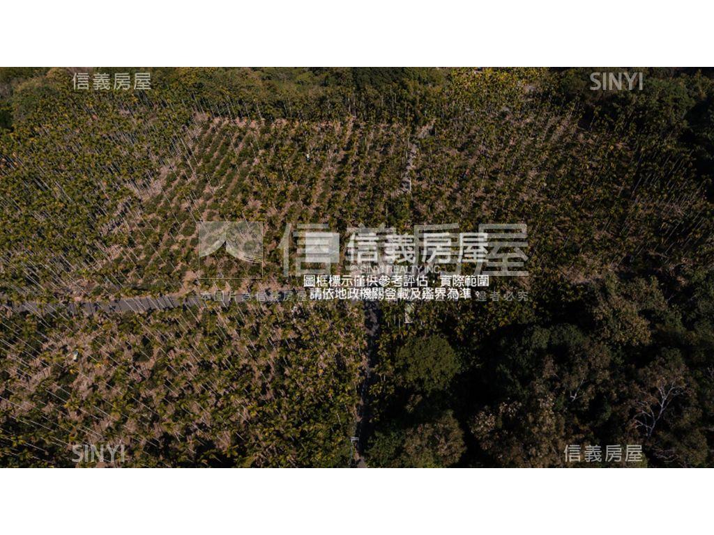 台南參佰坪土地房屋室內格局與周邊環境