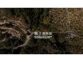 台南參佰坪土地