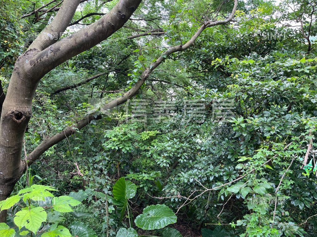 龜山幸福段０１０４持分地房屋室內格局與周邊環境