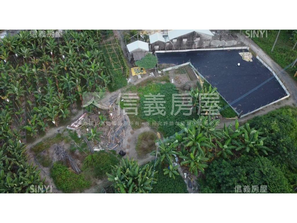 漂亮甲建房屋室內格局與周邊環境