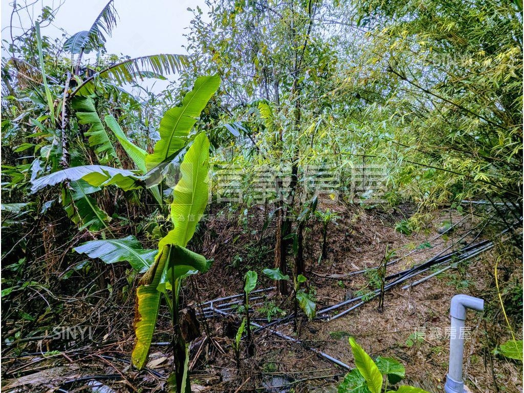 萬里區臨大馬路土地房屋室內格局與周邊環境