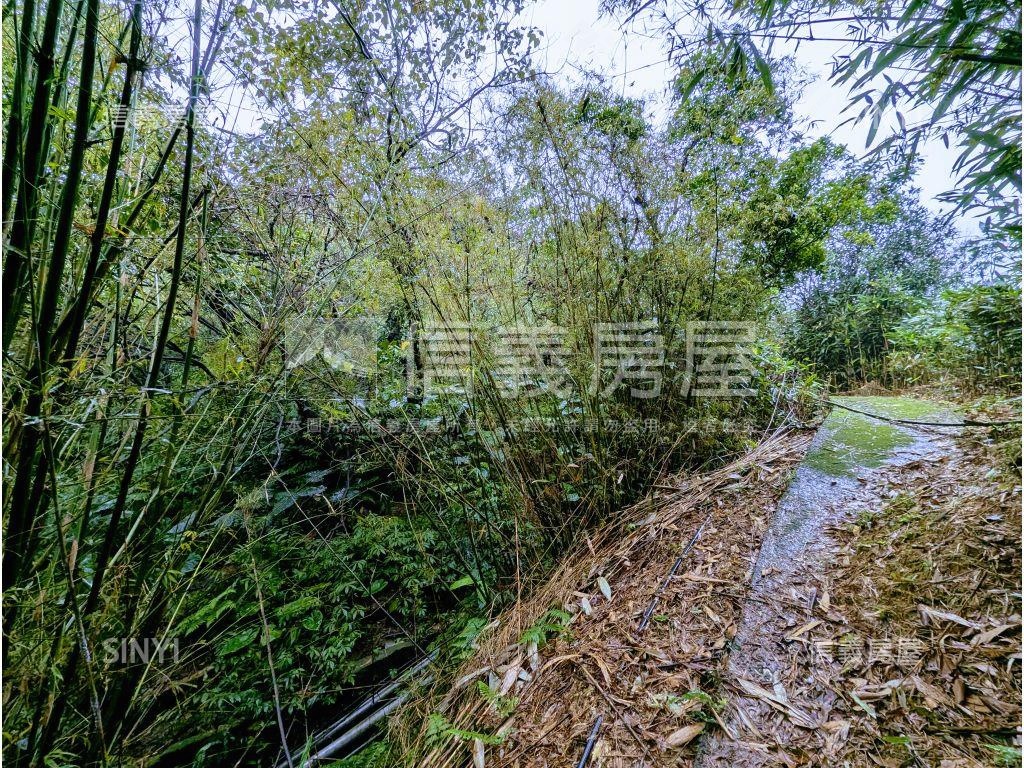 萬里區臨大馬路土地房屋室內格局與周邊環境