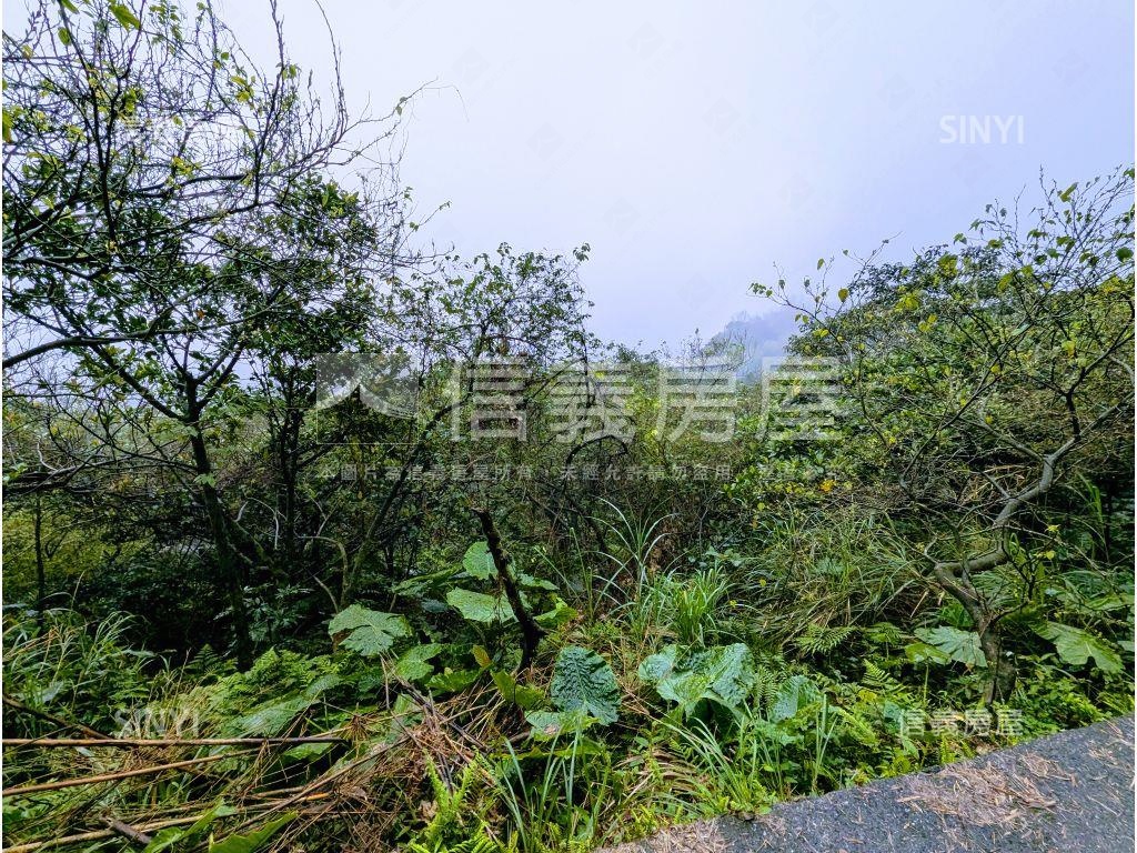 萬里區臨大馬路土地房屋室內格局與周邊環境