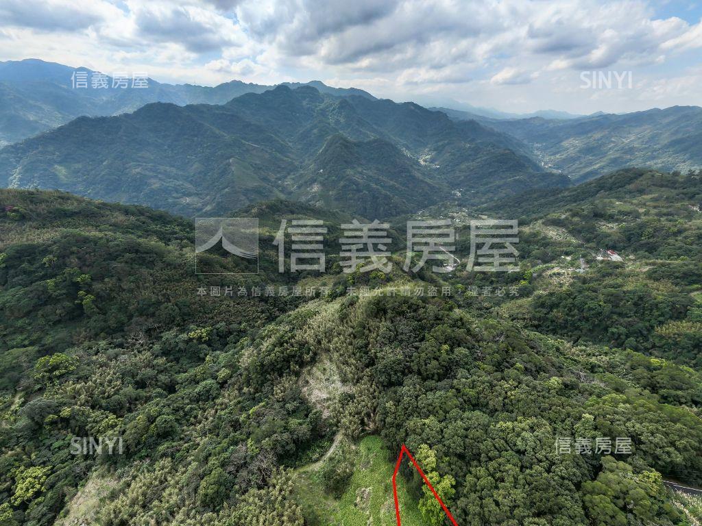 三峽近大板根三千多坪土地房屋室內格局與周邊環境