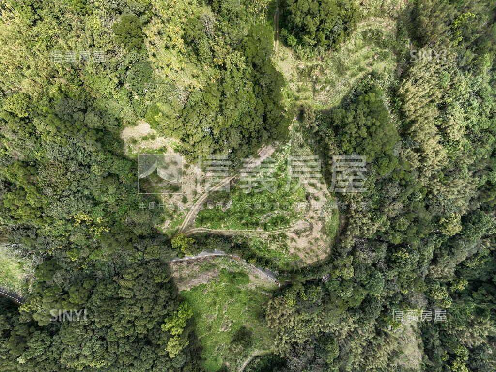 三峽近大板根三千多坪土地房屋室內格局與周邊環境