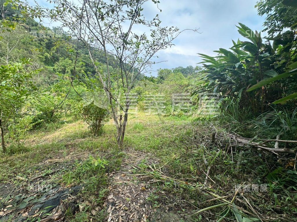 竹東土地房屋室內格局與周邊環境