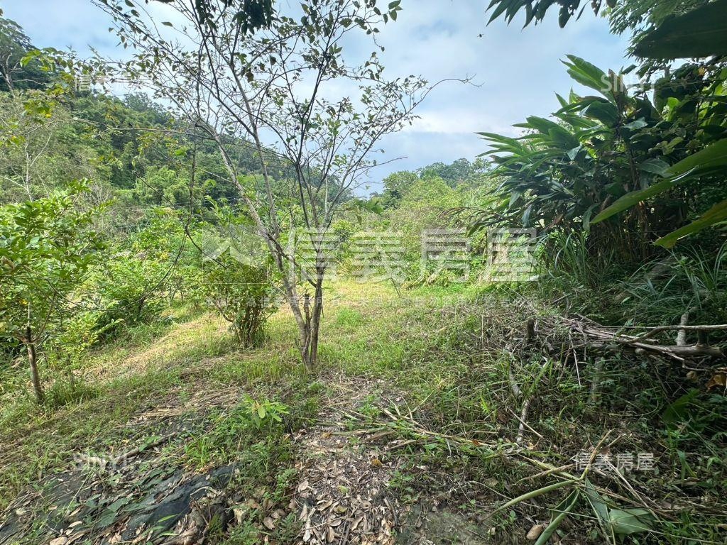 竹東土地房屋室內格局與周邊環境