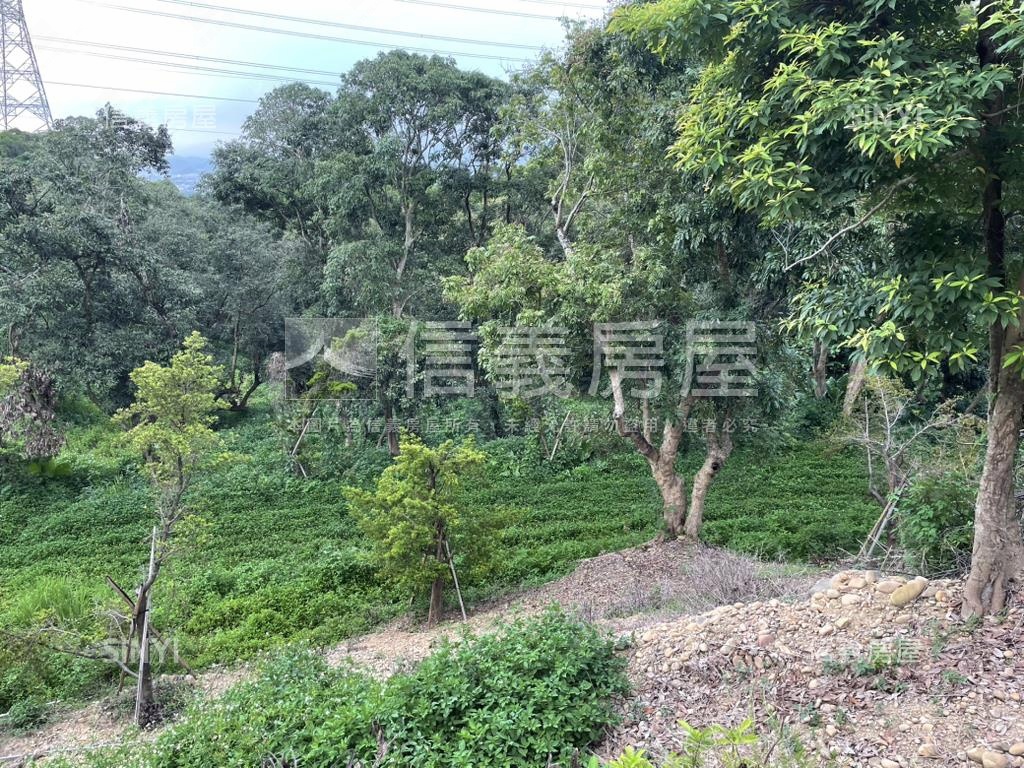 【合法開墾】景觀美地Ｂ房屋室內格局與周邊環境