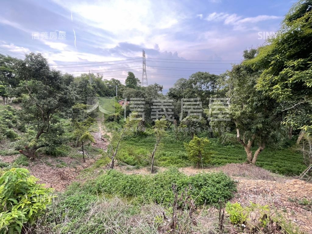 【合法開墾】景觀美地Ｂ房屋室內格局與周邊環境