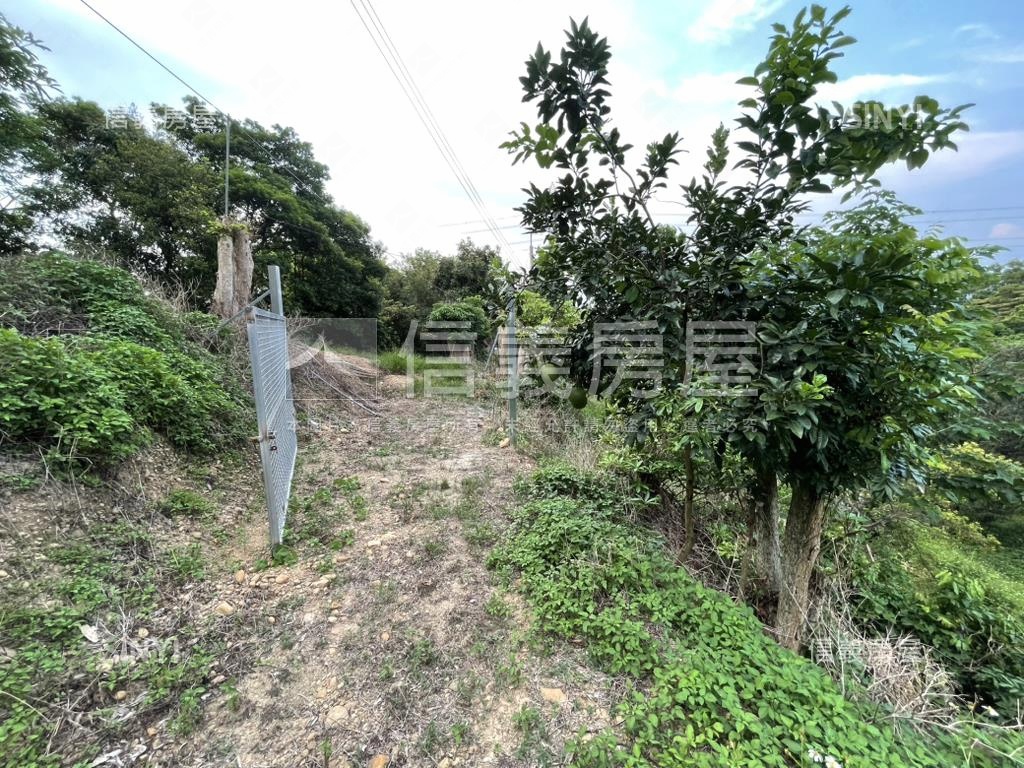 【合法開墾】景觀美地Ｂ房屋室內格局與周邊環境