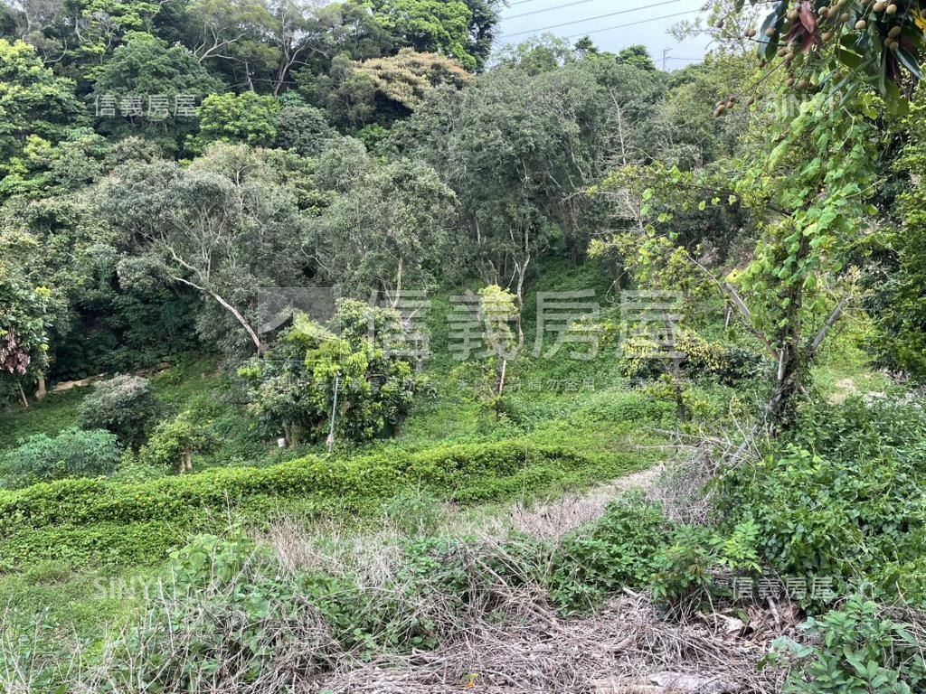 【合法開墾】景觀美地Ｂ房屋室內格局與周邊環境