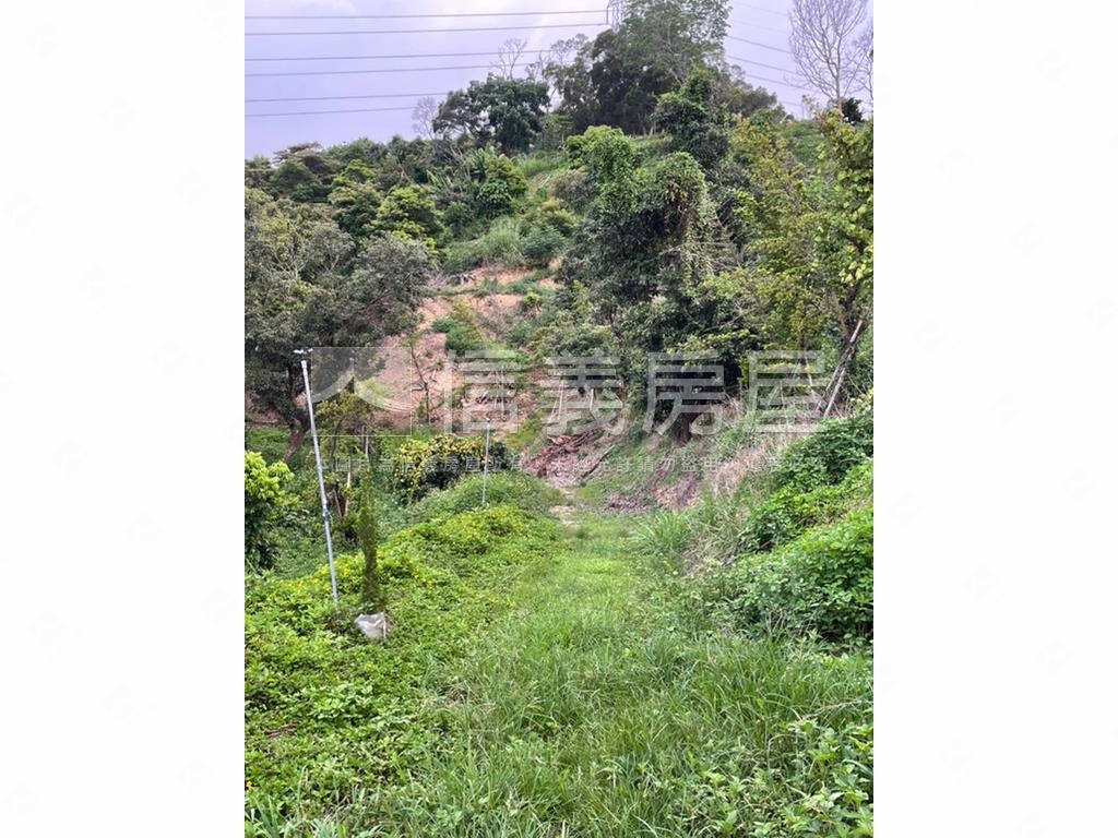 【合法開墾】景觀美地Ｂ房屋室內格局與周邊環境