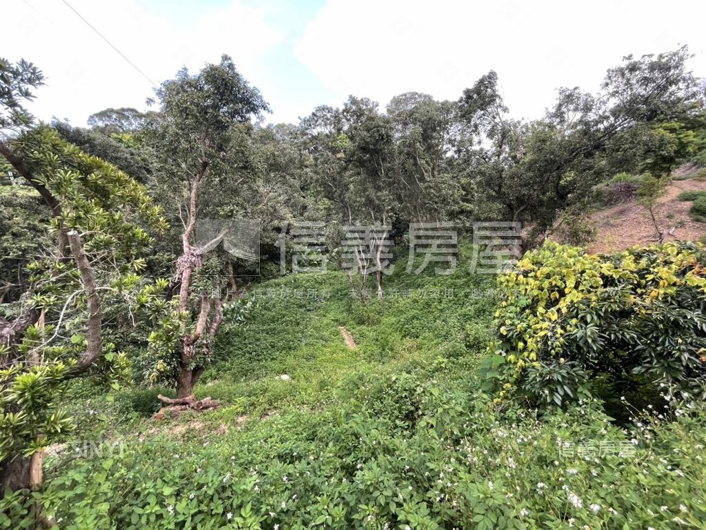 【合法開墾】景觀美地Ｂ房屋室內格局與周邊環境