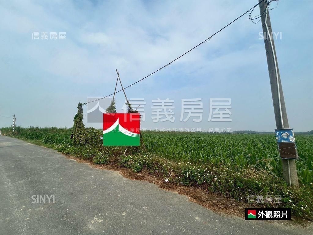 善化胡厝寮方正農地房屋室內格局與周邊環境