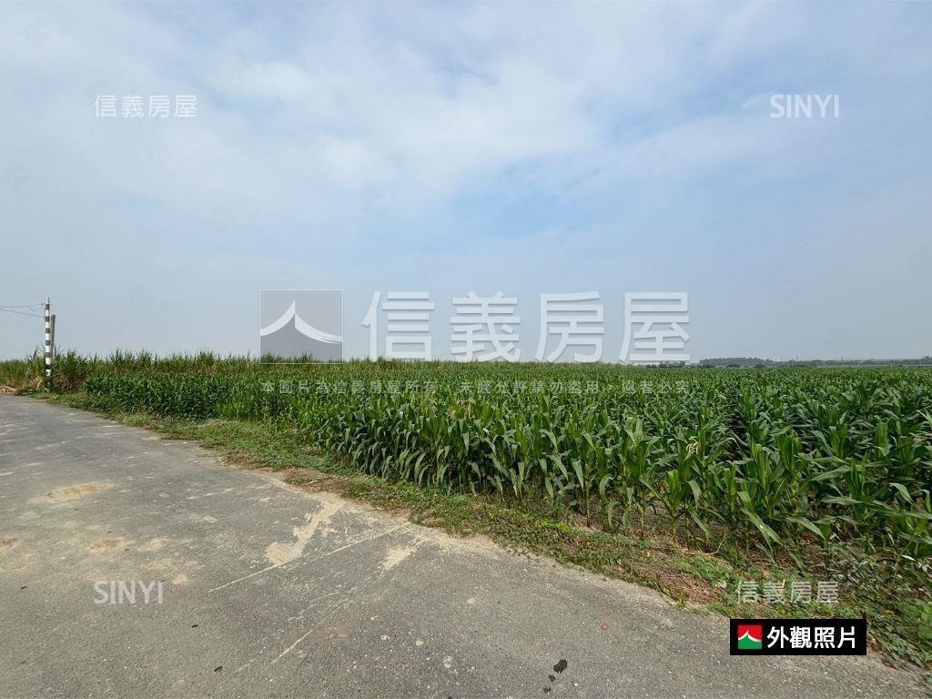 善化胡厝寮方正農地房屋室內格局與周邊環境