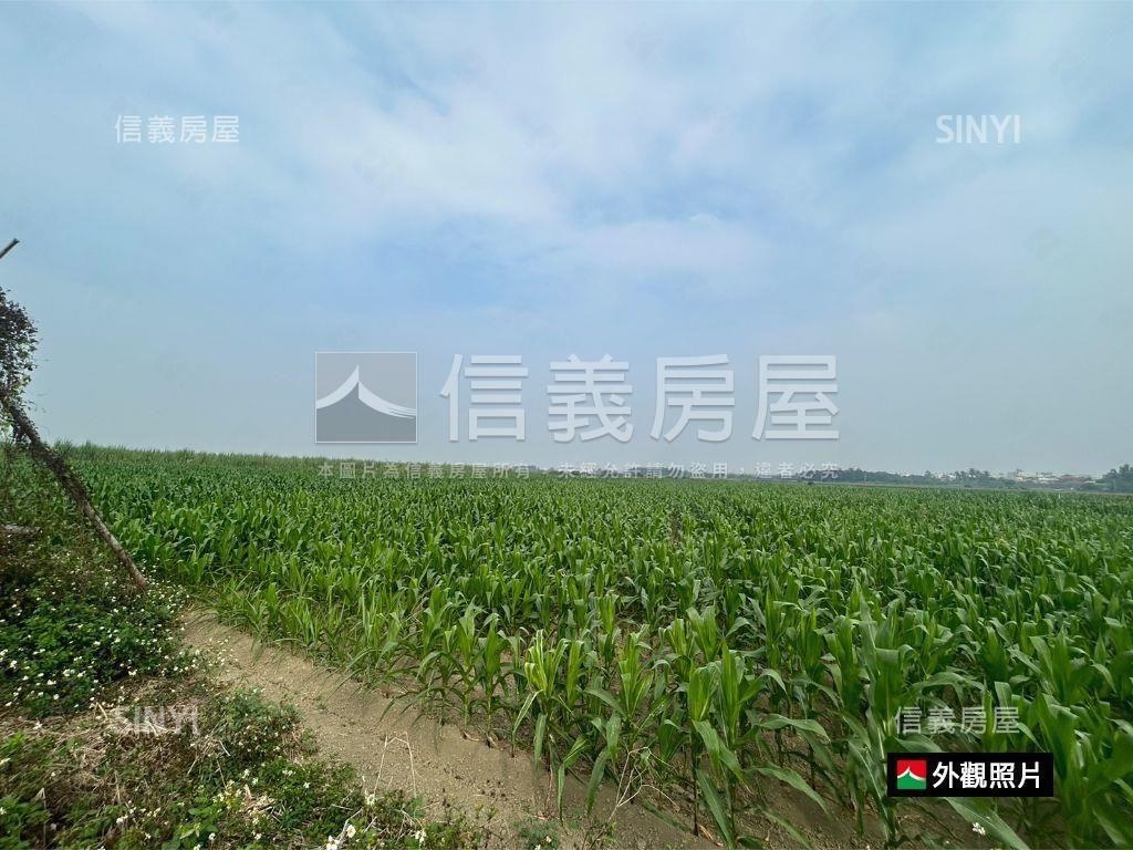 善化胡厝寮方正農地房屋室內格局與周邊環境
