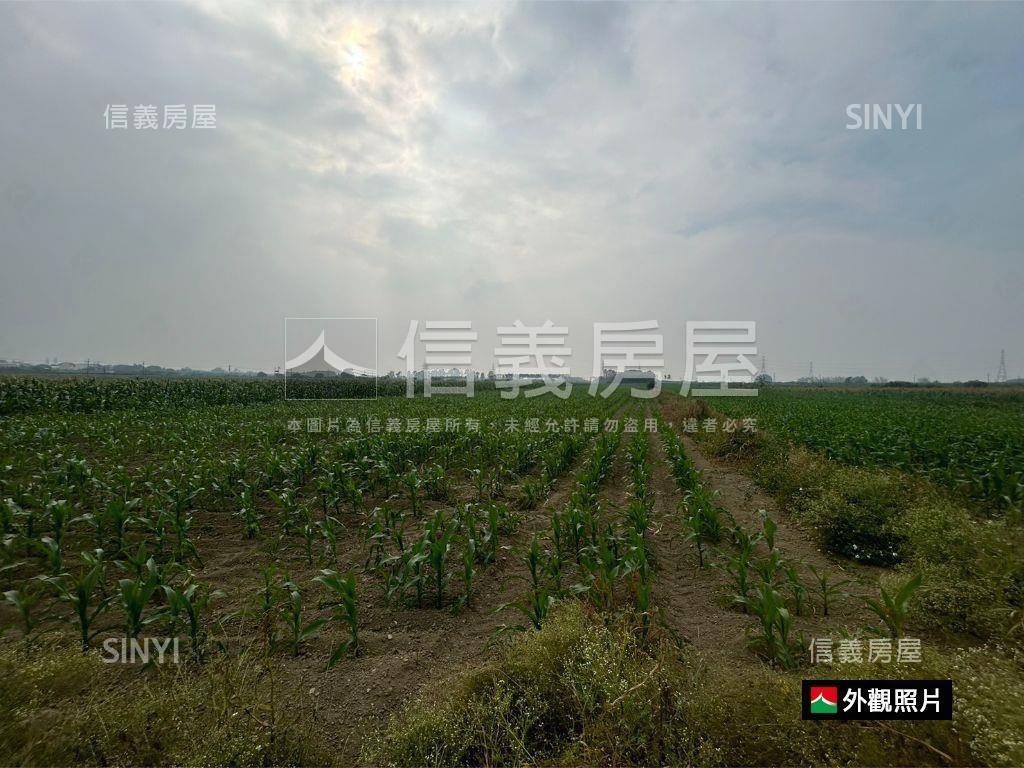 善化胡厝寮方正農地房屋室內格局與周邊環境