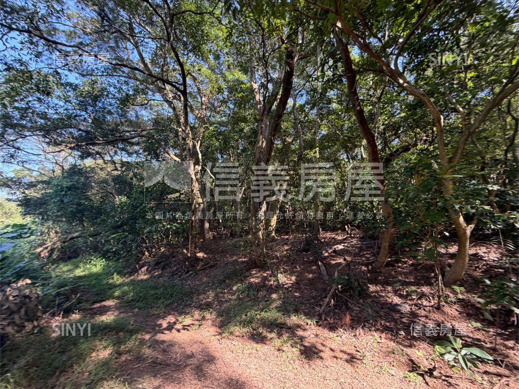 近高鐵綠意盎然土地房屋室內格局與周邊環境