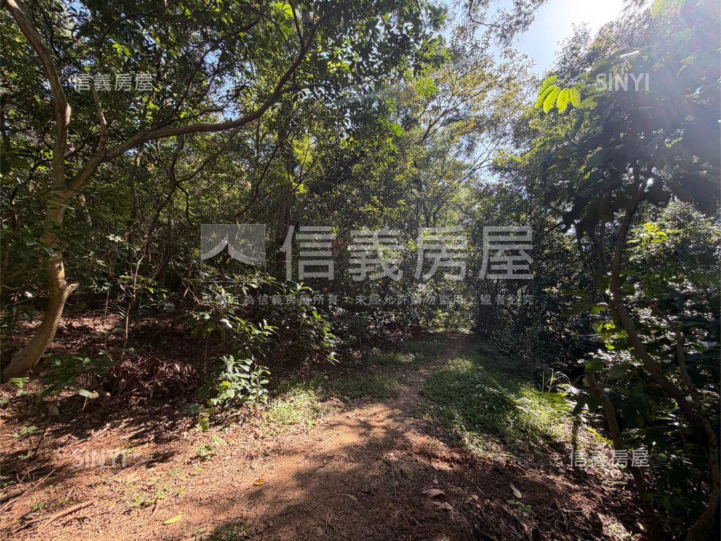 近高鐵綠意盎然土地房屋室內格局與周邊環境