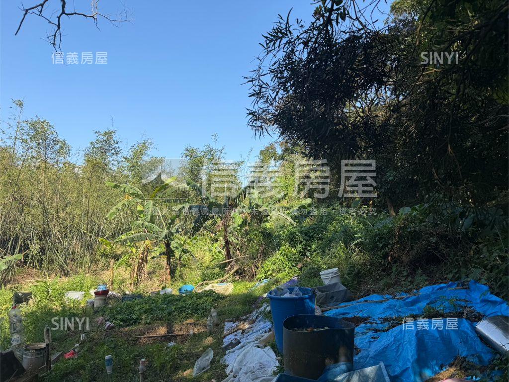 近高鐵綠意盎然土地房屋室內格局與周邊環境