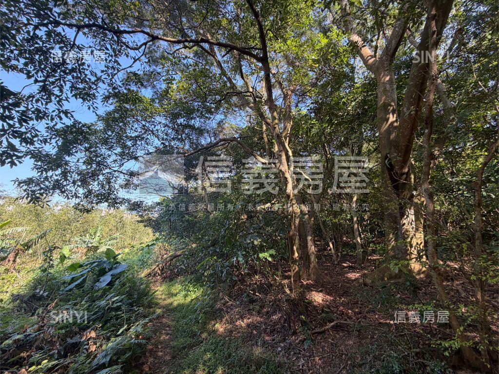 近高鐵綠意盎然土地房屋室內格局與周邊環境