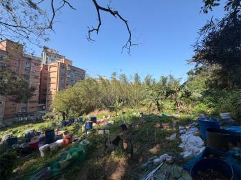 近高鐵綠意盎然土地