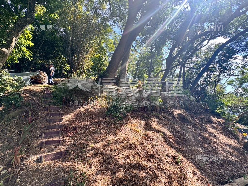 忠義捷運站百坪土地房屋室內格局與周邊環境