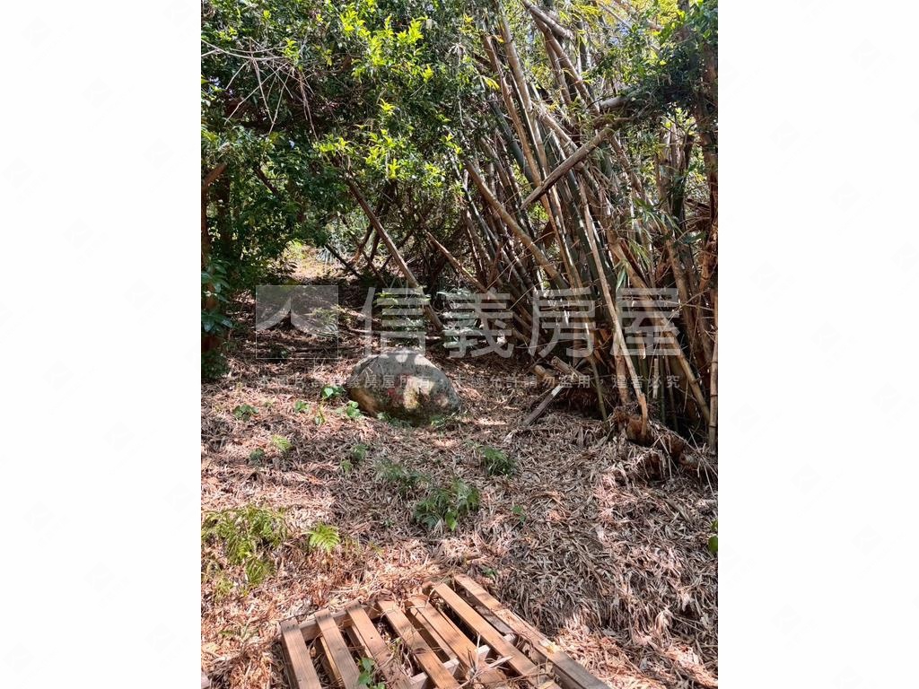 忠義捷運站百坪土地房屋室內格局與周邊環境