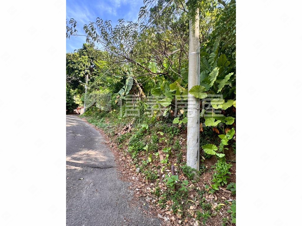 忠義捷運站百坪土地房屋室內格局與周邊環境