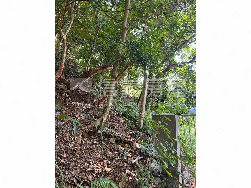 忠義捷運站百坪土地房屋室內格局與周邊環境