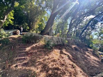 忠義捷運站百坪土地