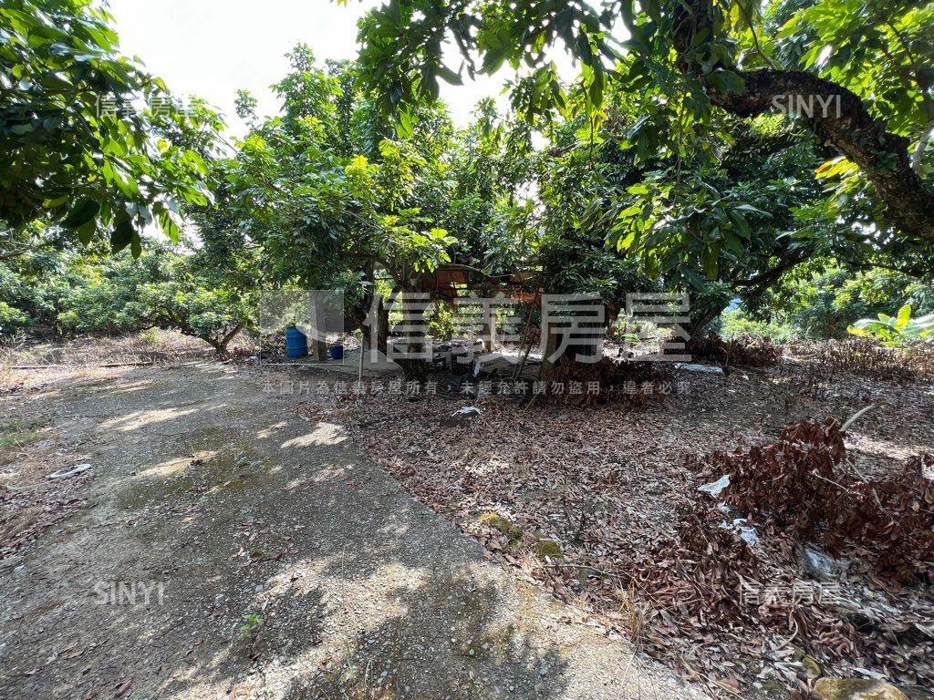 太平黃竹段土地房屋室內格局與周邊環境